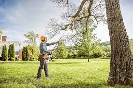 Best Commercial Tree Services  in Chester Gap, VA