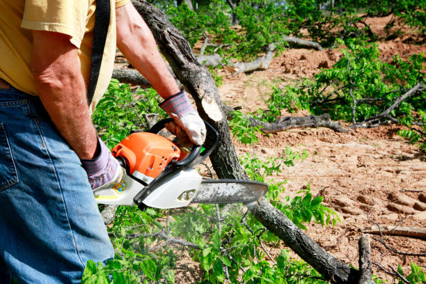 Best Utility Line Clearance  in Chester Gap, VA